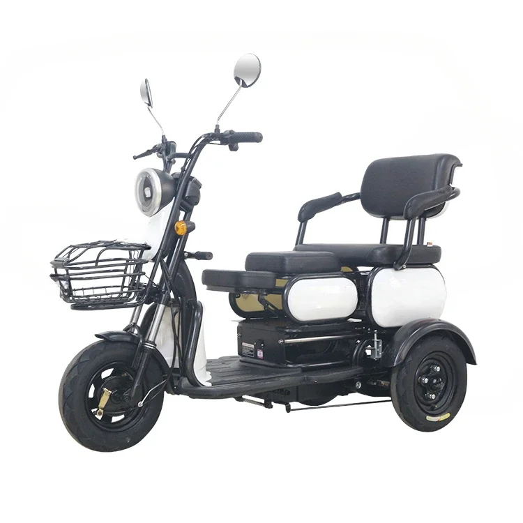 Tailg Factory Hot Sale Scooter Dreirad Elektro fracht Dreirad