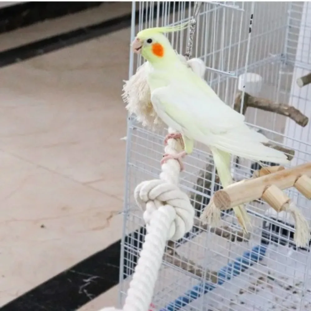 Pet Bird Parrot Cotton Rope Knot Climbing Hanging Cage Decor Swing Bite Resistant Chew Toy White Cotton Rope Parrot Standing Toy