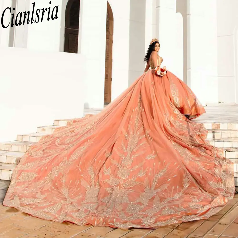 

Orange Sleeveless Chapel Train Quinceanera Dresses Ball Gown Appliques Lace Mexican Sweet 16 XV Anos