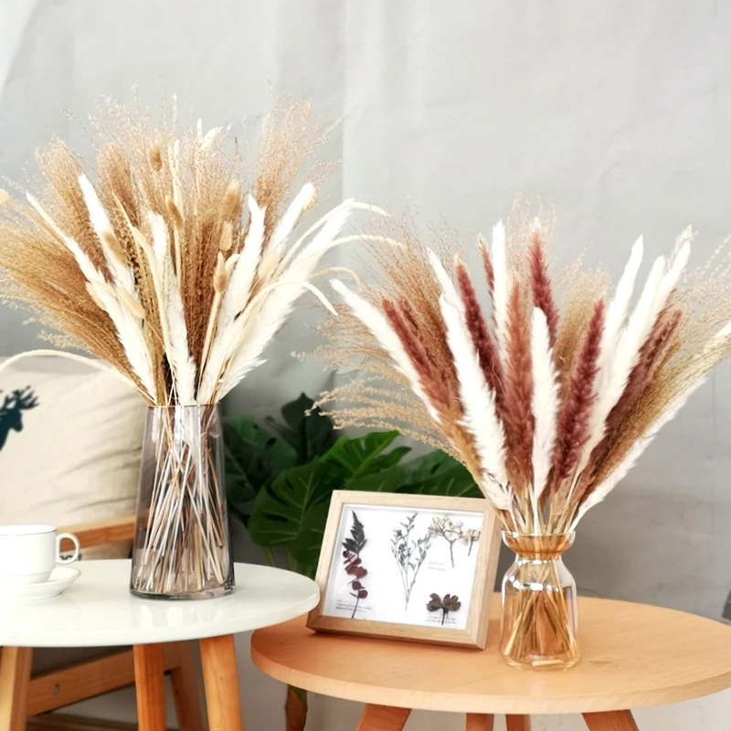 

30pcs Pampas Grass Rabbit Tail Dry Flowers Wedding Decor Natural Dried Reed Phragmites Bunch Communis Pampa For Home Decoration