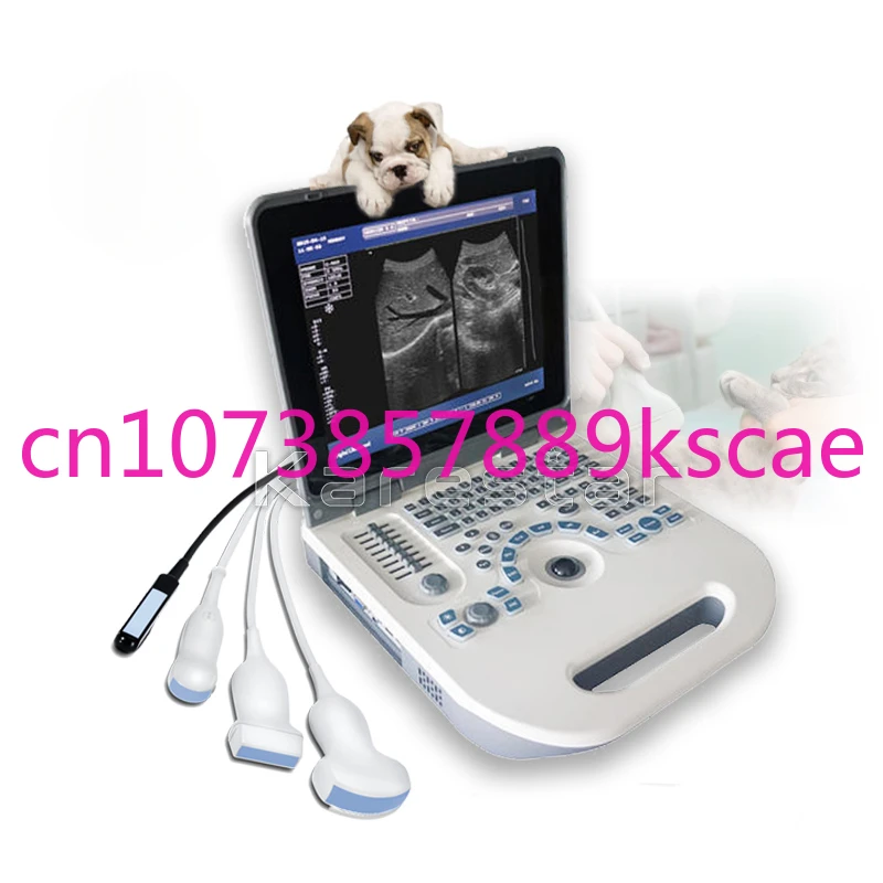 

Mindray Vet Ultrasound Portable veterinary machine price