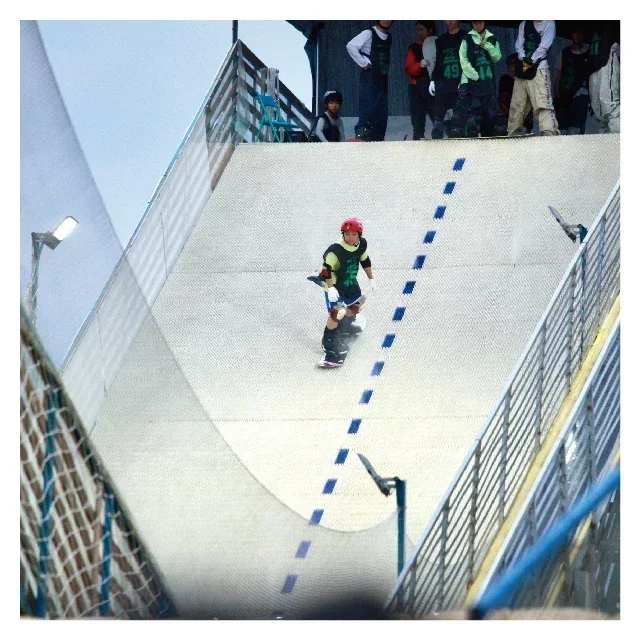 High Quality Dry Ski Mat Ski Simulator Artificial Dry Slope Skiing