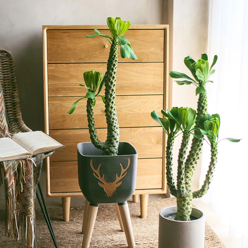 Simulation flower simulation green plant cactus overlord whip cactus potted plant decoration