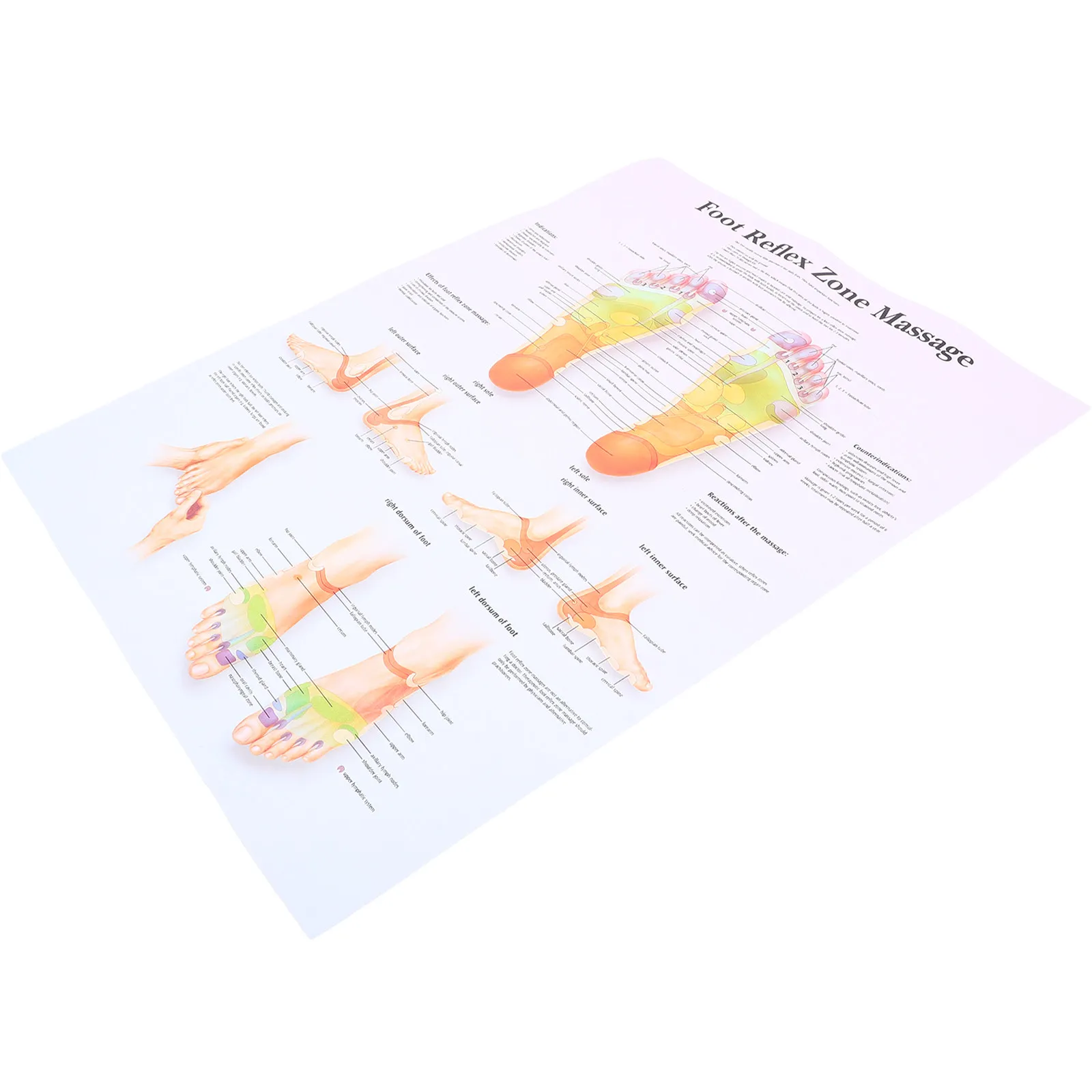 

Foot Reflexology Chart Poster High Definition Stain Resistant Foot Anatomy Educational Wall Art Office Home Massage Knowledge