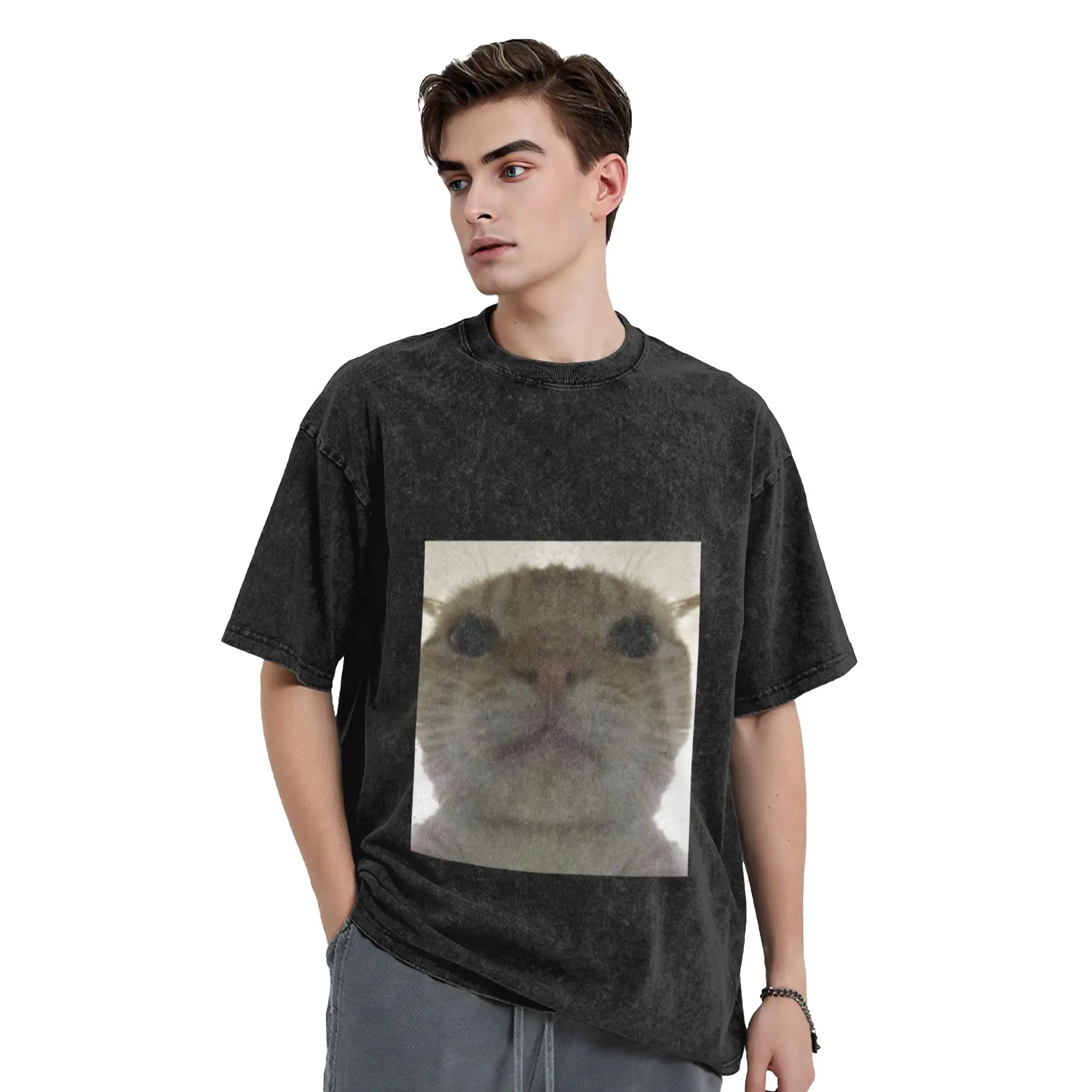 Silly Cat  3 Classic Trendy A Vintage Oversized Cotton Unisex T-Shirts
