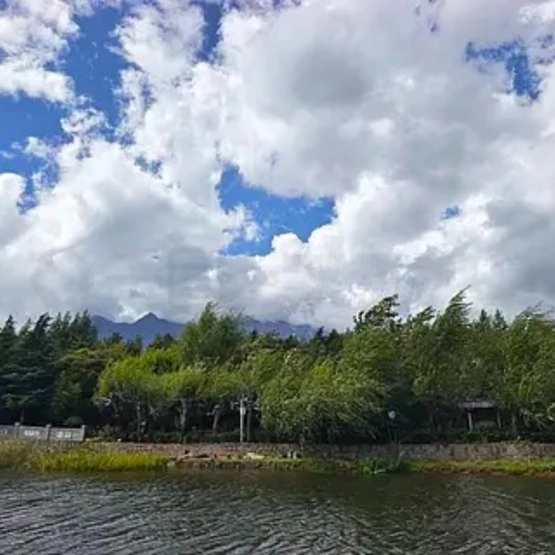 

GEPRC SOMA 3,3G или 5,8G 4,9 ГГц-6 ГГц направленная патч-антенна длинная RHCP DIY RC FPV Квадрокоптер Дрон Аксессуары для фристайла Запчасти