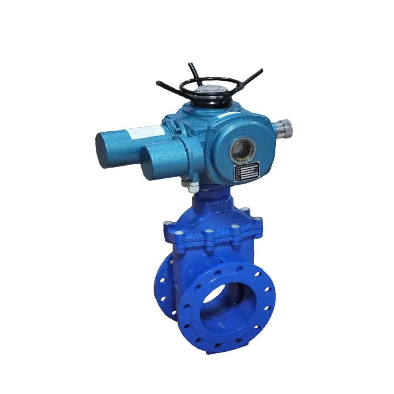 

Ductile Iron 6 Inch Electric Actuated Explosion Proof Soft Seal Gate Valve for Water Media with Competitive Prices