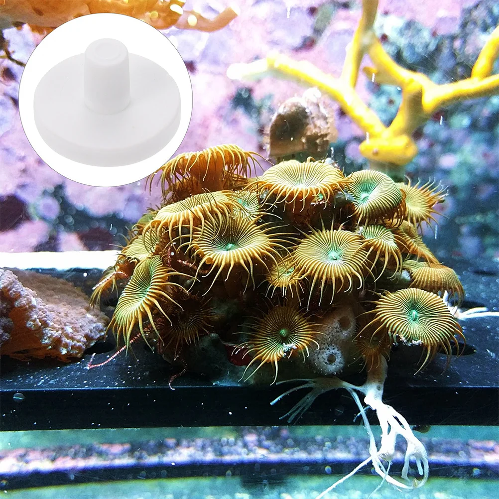 

4Pcs Coral Plugs Ceramic Coralline Bases Aquarium Coral Breeding Brackets Fish Tank Supplies Support Hard Branching