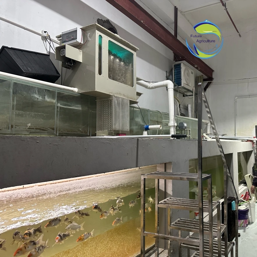 AIROW AIROW Automatyczny Duży  – Aquarium Fish Koi recenzja i cena