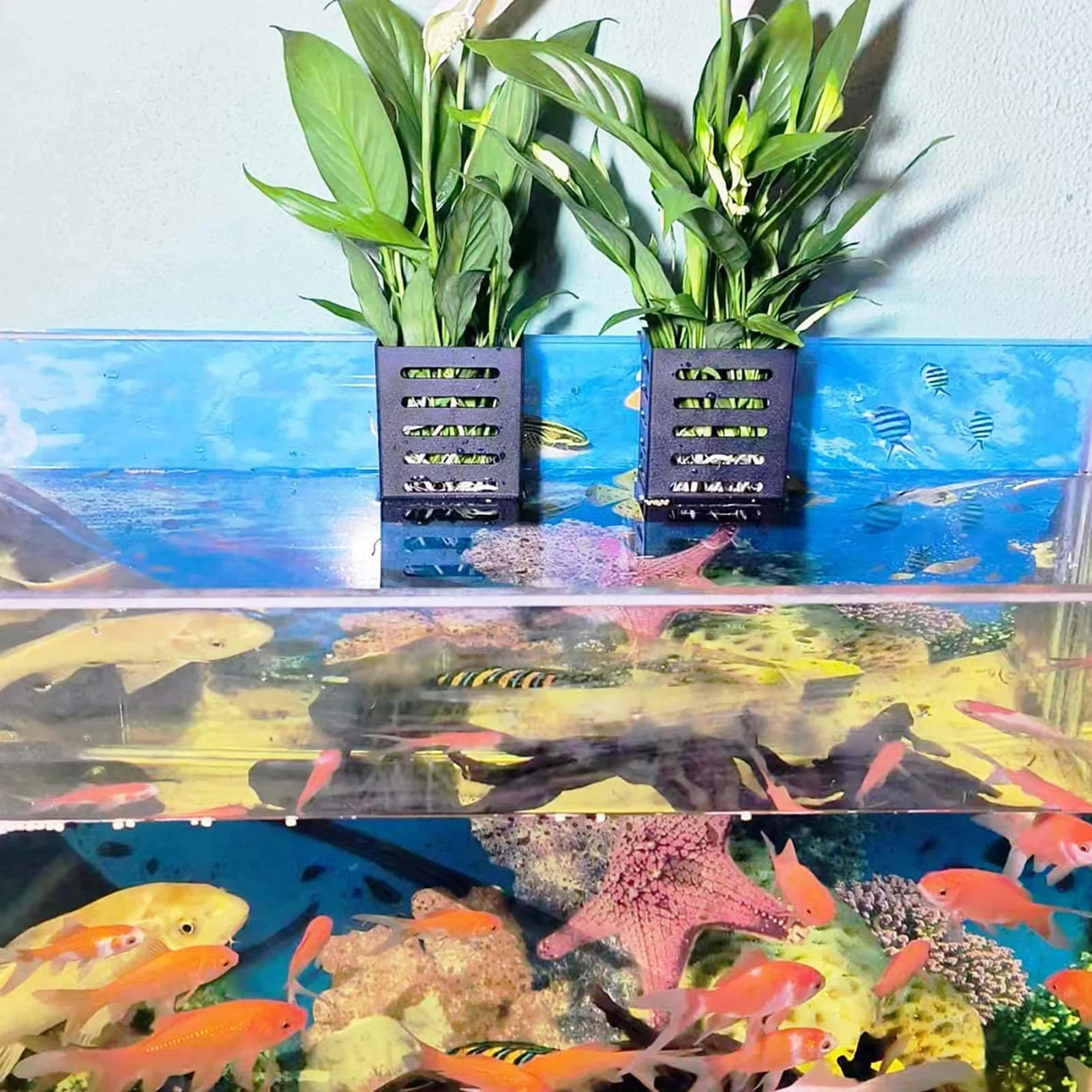 Thumbnail 2 - #41 Discounted Decorative Aquarium Plants Worth Buying