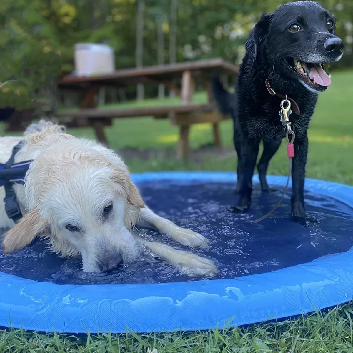 Thumbnail 2 - #7 Best Cooling Dog Mats to Buy In 2026