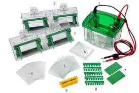 WISDOM BIO-RAD Gel Electrophoresis System Laboratory Electrophoresis Gel Use UV Transilluminator