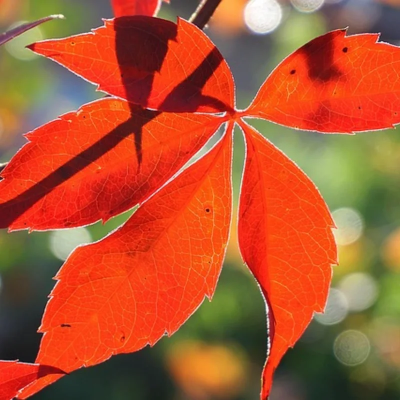 

ДЛЯ UD1201 UD1202 UD-12PRO металлический передний и задний рычаг подвески, комплект рулевого управления 1/12, детали для обновления радиоуправляемого автомобиля, аксессуары