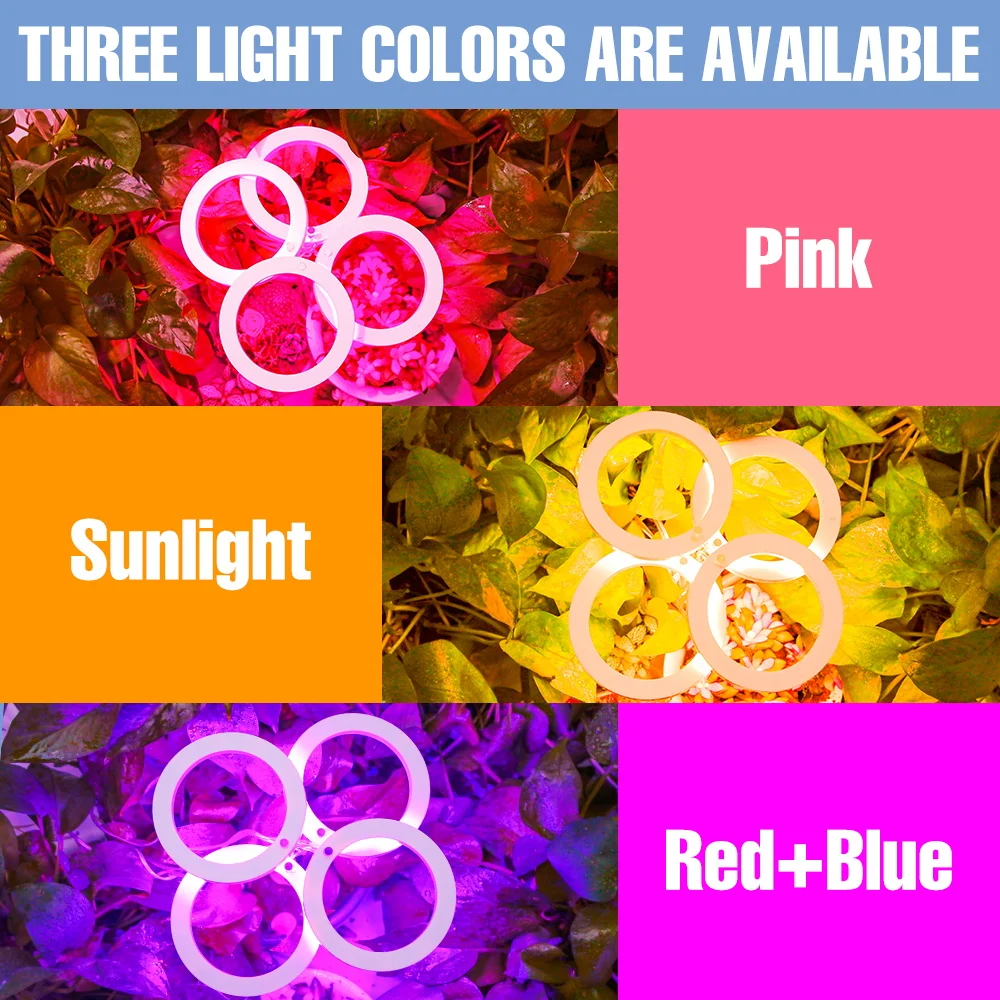 DC5V LED Pianta Coltiva La Luce Spettro Completo Semi di Fiori per Interni Idroponica Scatola di Crescita delle Vegetali Lampada di Coltivazione USB Dimmerabile Temporizzazione