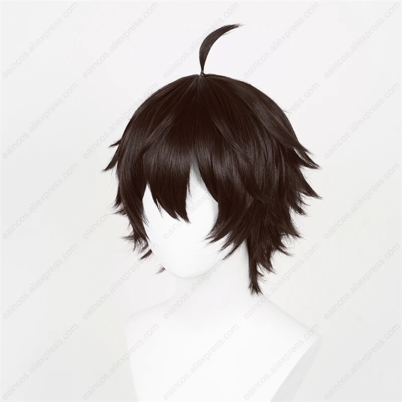 Parrucca cosplay HSR Dan Heng 30 cm Parrucche corte marrone nero Capelli sintetici resistenti al calore