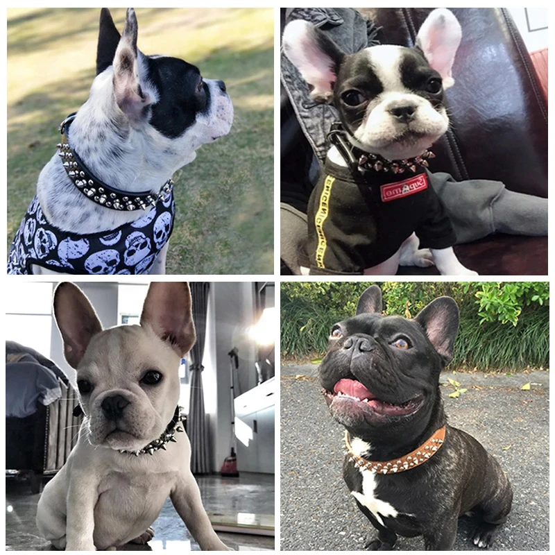 Adjustable Leather Pet Dog collar Neck Strap Supplies PU Leather Punk Rivet Spiked Dog Collar Pet Collars For Small Dog Cat view 6