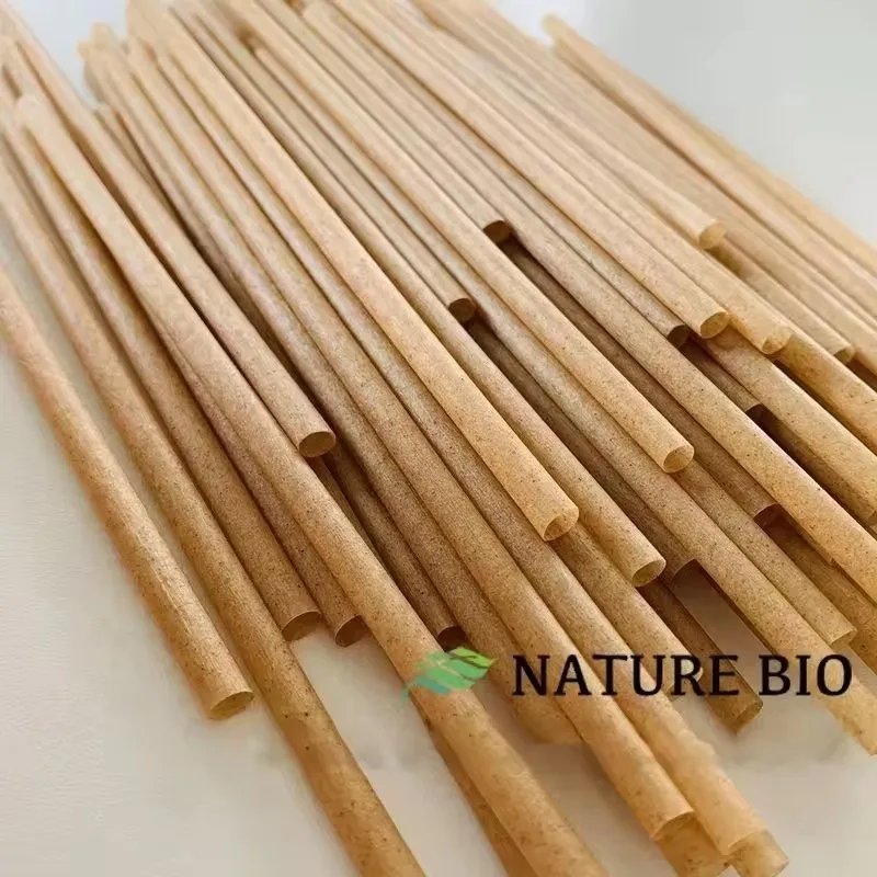 100pcs/pack Sugarcane Fiber Straws Biodegradable Degrade Plant Fiber Eco-Friendly Disposable Straw for Hot Cold Drinks