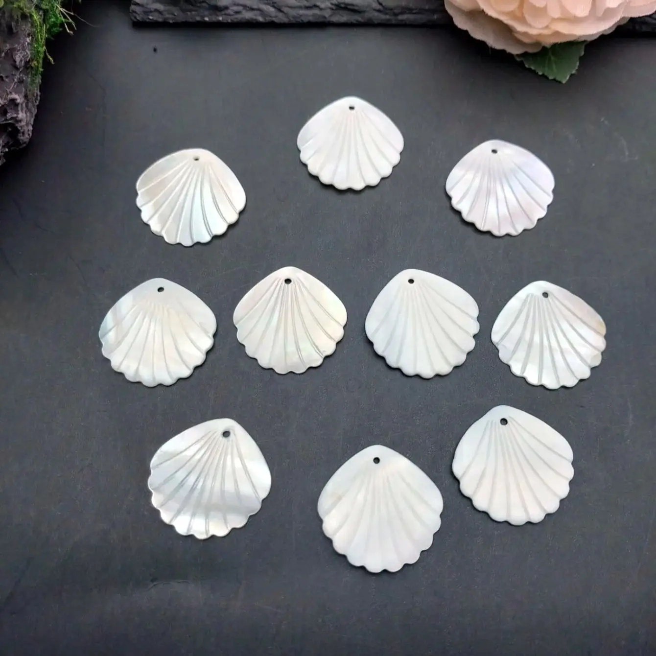 10pcs Natural Shell Charms for Jewelry DIY Making