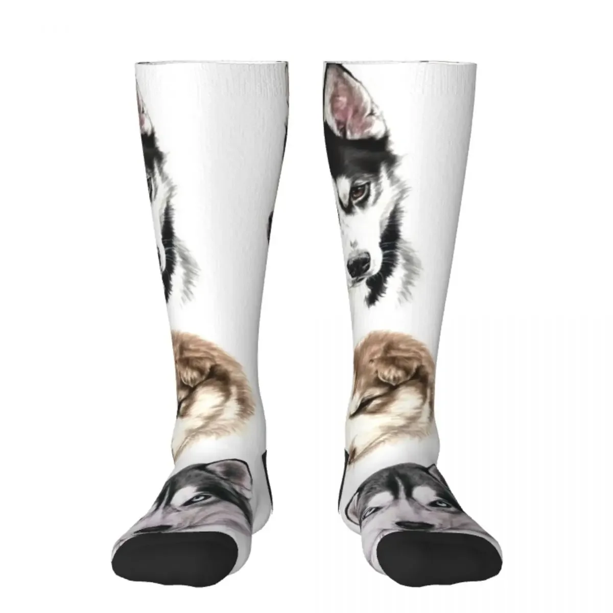 Husky collage Socks Stockings compression Stockings funny sock Socks Male Women's