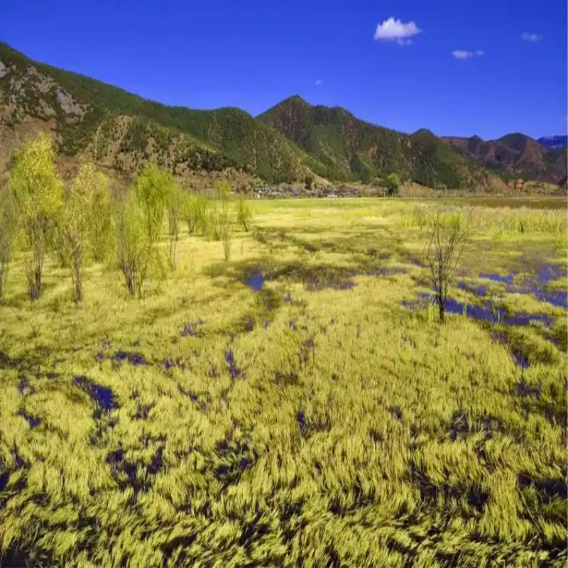 

Светодиодные фары для Toyota C-HR CHR 2016-2020 с динамическими указателями поворота и функцией DRL, комплект для установки на головную оптику.