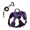 Purple 1