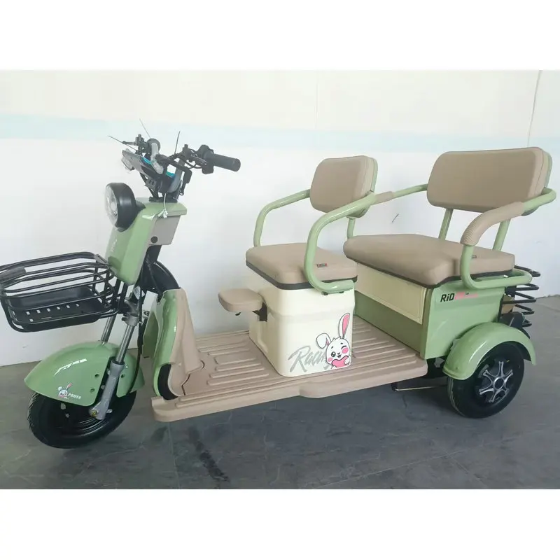 ترقية الساخن بيع 650 واط/800 واط الكهربائية الصلب المفتوحة الجسم 3-عجلات الركاب دراجة ثلاثية العجلات #4