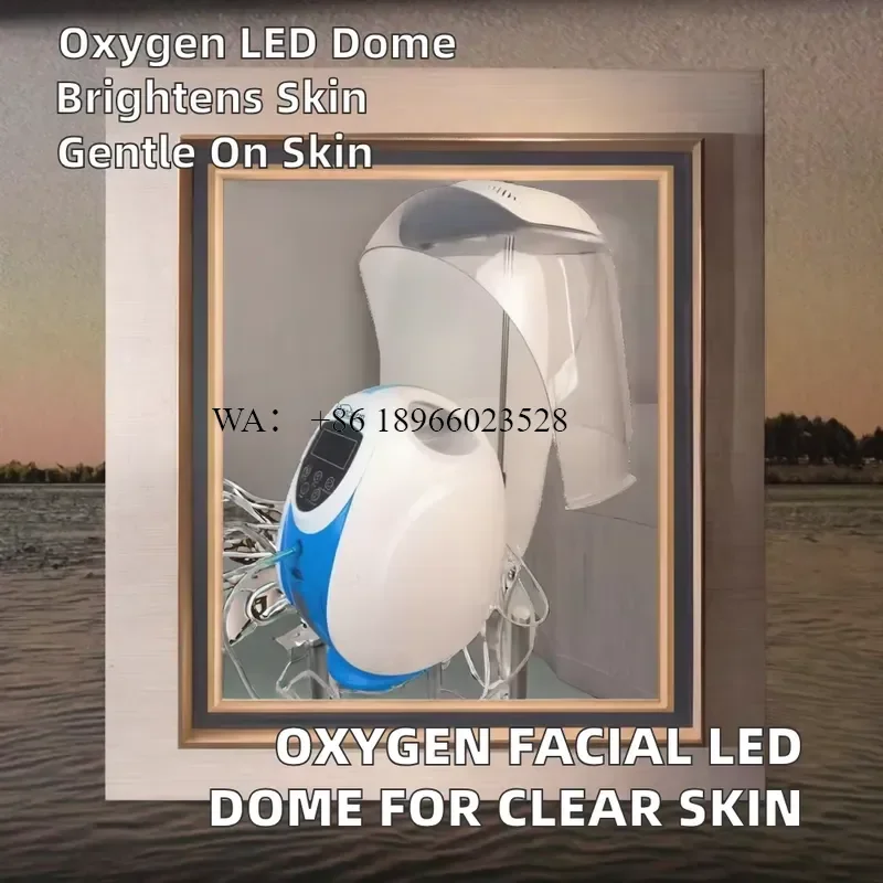 WMWMNU Hot Selling Korea 98% O2Toderm Oxygen Facial Jet Peel Dome Masks for Salon Use Professional Care Device