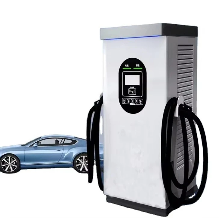 Ruitang Factory Wholesale Price 80KW DC EV Charger Level 2 Commercial EV Charger Station CCS Double  Floor-Mounted IP54