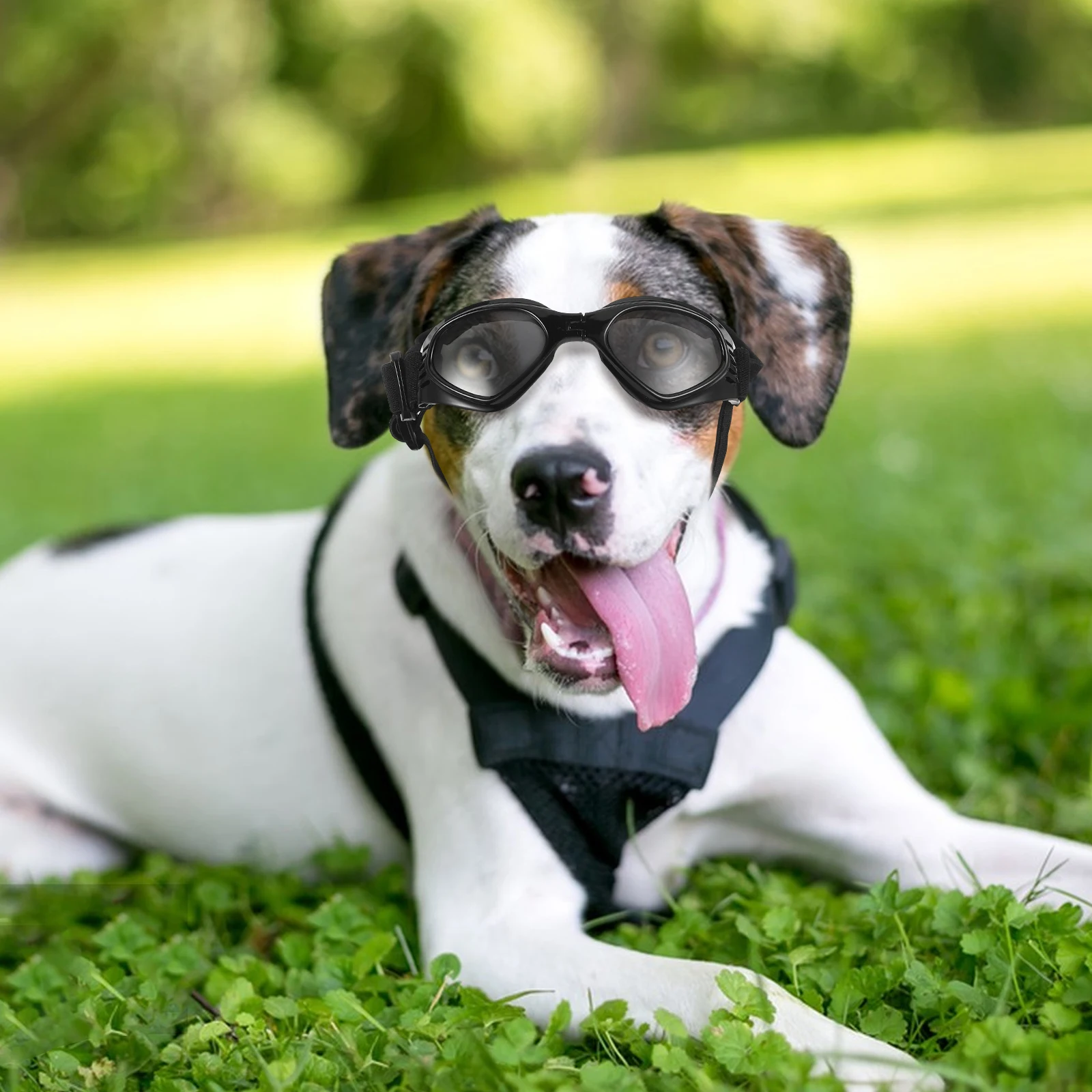 

Pet Sunglasses Dog Small Breed Doggy for Dogs Eyewear Pets Foldable Goggles Windproof Cat