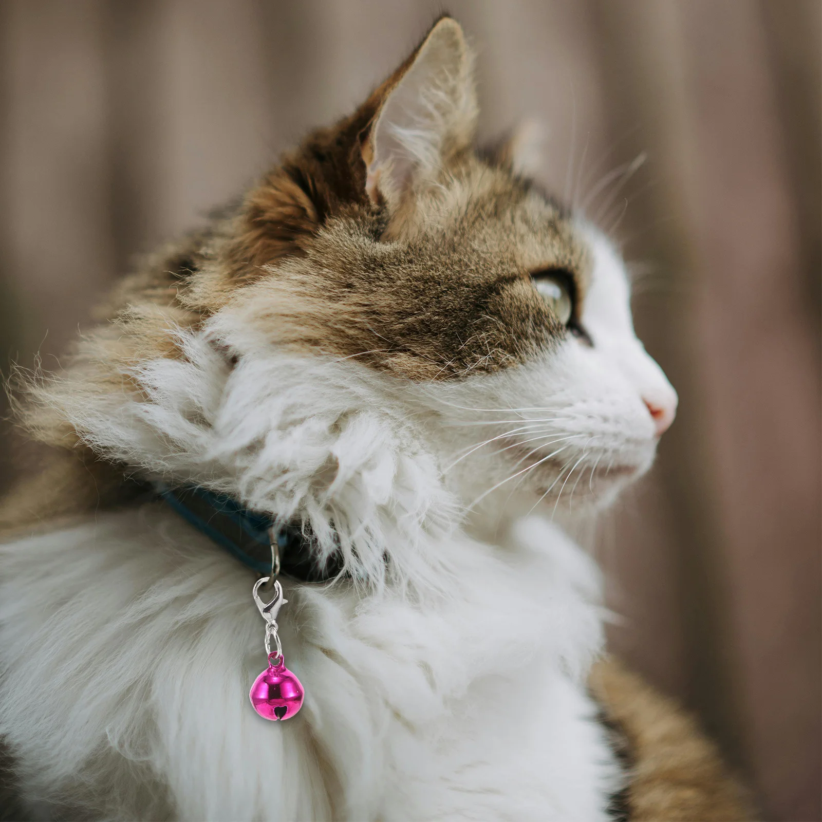 

20Pcs Pet Collar Bells Colorful Metal DIY Charms Clip Keychain Accessories for Dogs Cats Craft Decoration Pet Small Bells