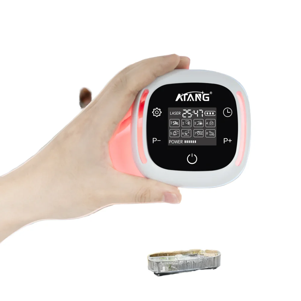 

808 Infrared Light Horse Arthritis Pain Reliever Wound Healing and Pain Management Physical Therapy Equipment