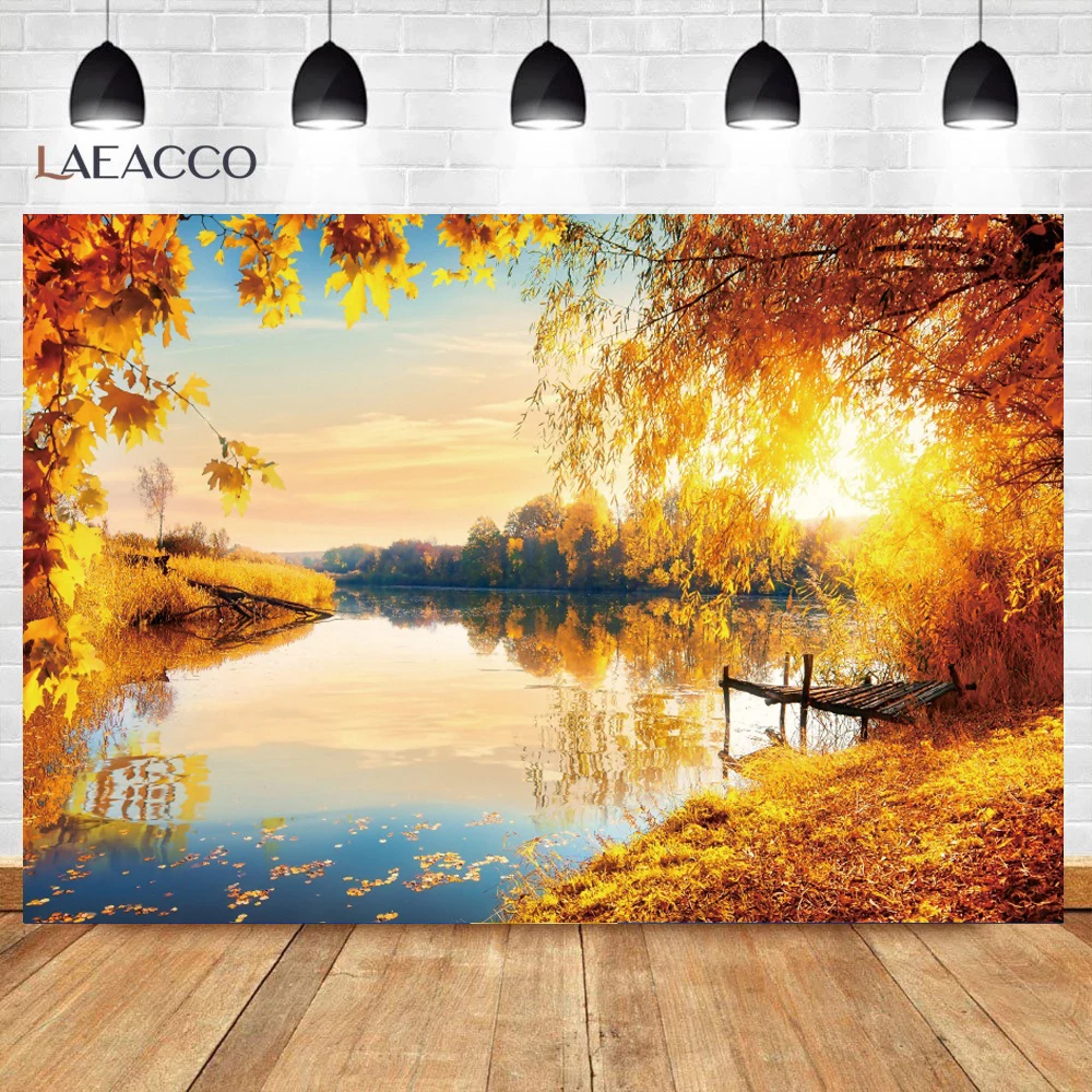 Laeacco Autumn Backgrounds For Photography Fallen Leaves Maples Light Bokeh Sunshine Baby Portrait Birthday Photo Backdrop