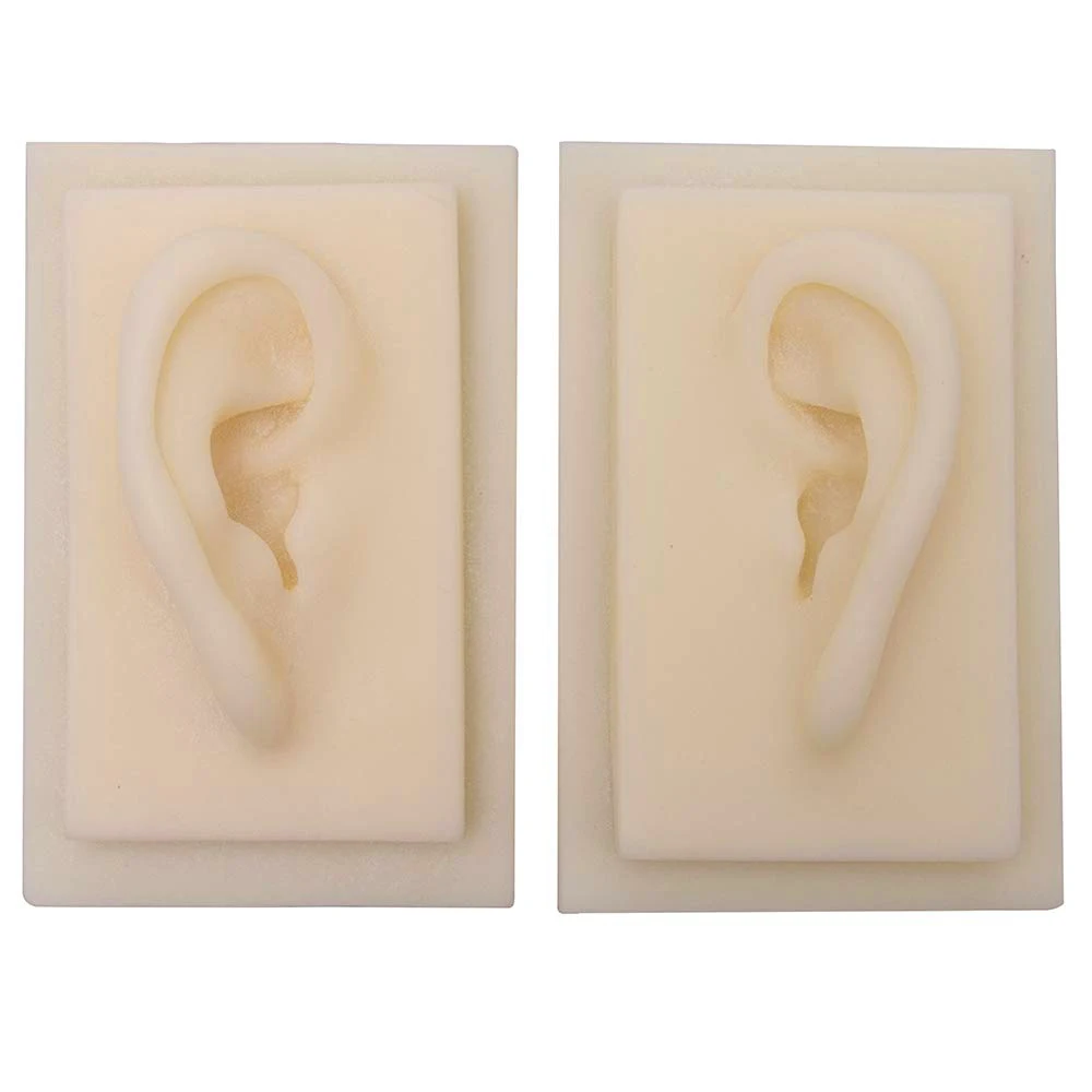 2 Pieces of Science Accessories Human Soft Silicone Ear Model Life Size Acupuncture Learning Practice Tool 1: 1 Life Size