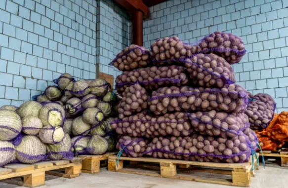 2025 مصنع الصين بالجملة 50 كجم البرتقال النار الخشب HDPE شبكة حقيبة تغليف الفاكهة للزراعة