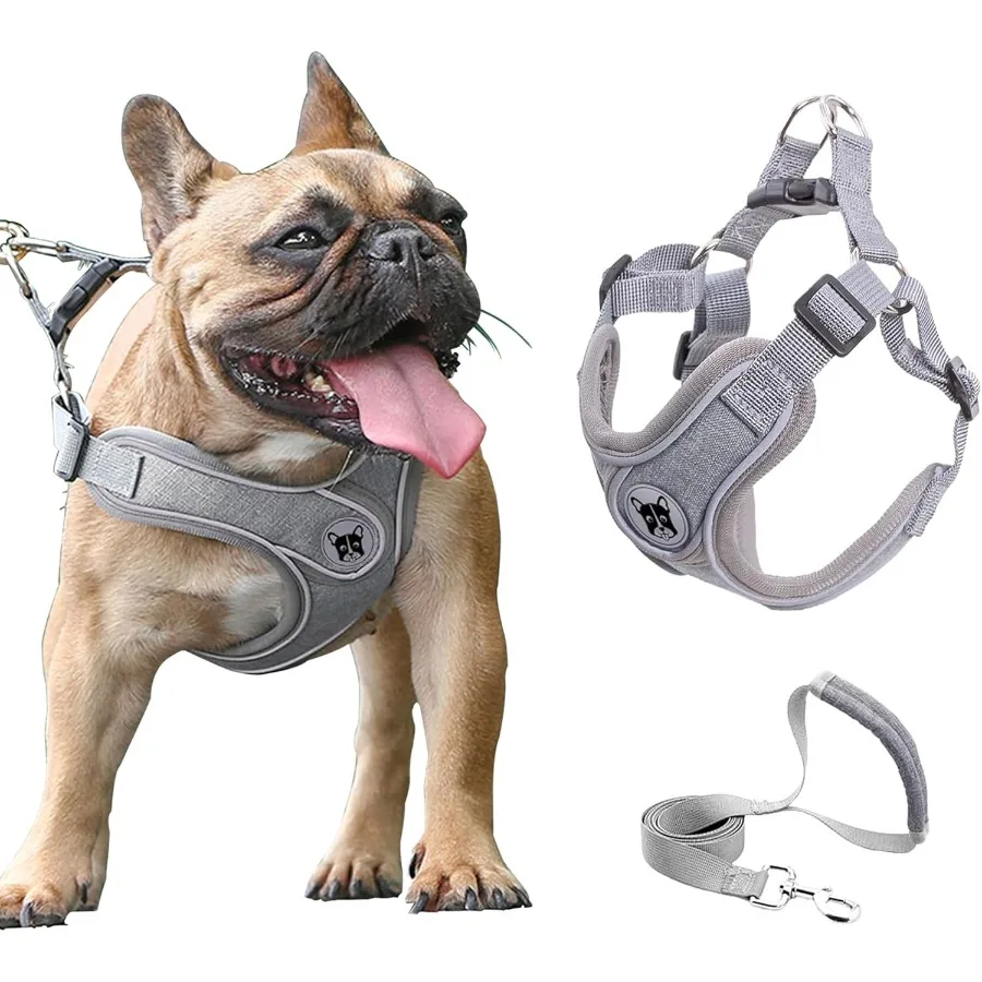 

Комплект шлейки и поводка для средней собаки, регулируемый крок в мягкой сетчатой жилетке, легкая прогулка, светоотражающая шлейка для домашних животных с мягкой подкладкой