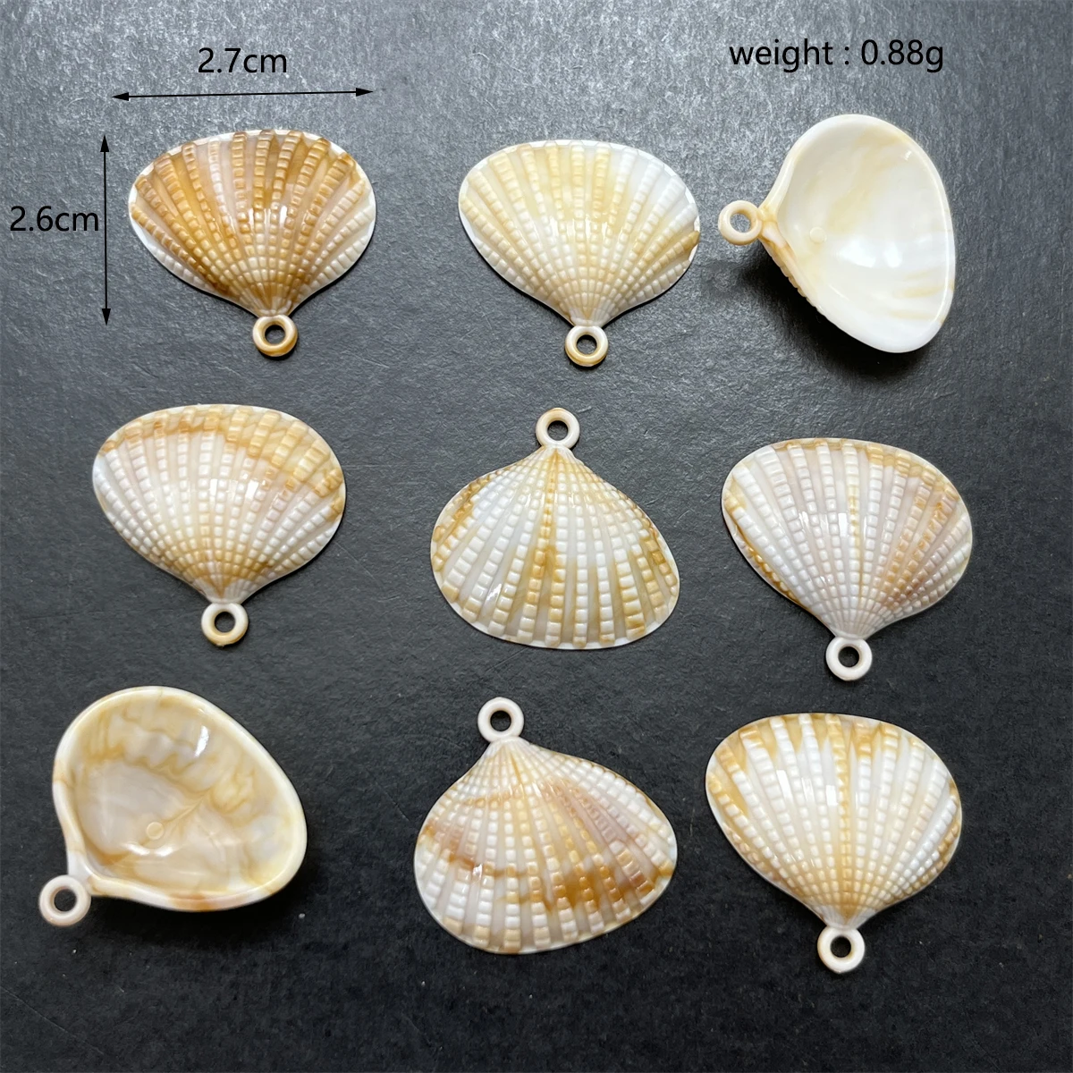 20pcs Ocean Series vari ciondoli a conchiglia in plastica utilizzati per la lavorazione manuale di bracciali con perline accessori per connettori di spaziatura della collana