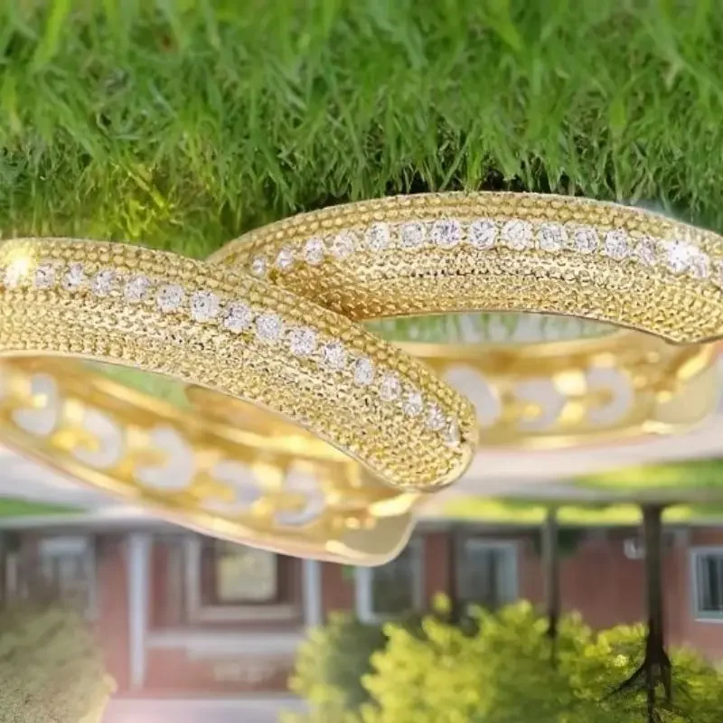 Elegant Gold Inlaid Zircon Ear Buckle - Simple High-End Fashion Geometric Jewelry Accessory for Trendsetters