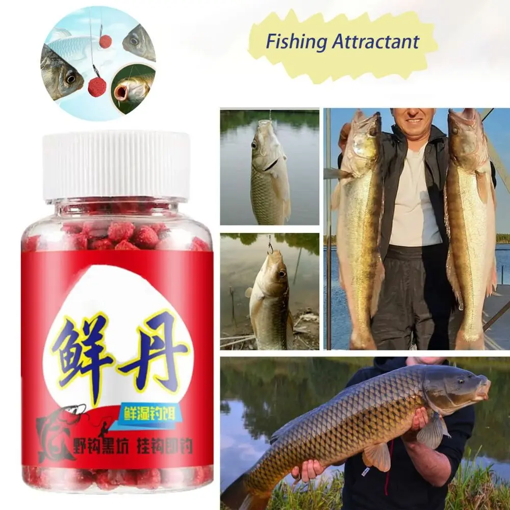 1/3Pcs Concentrated Fishing Lure Crankbaits Hooks Fishing Attractant for Dace Bream Carp Tilapia Crucian Carp