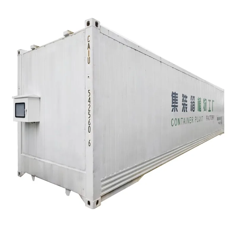 Hydroponic Lettuce Planting Container, Complete Set of Hydroponic and Aeroponic Planting Factory