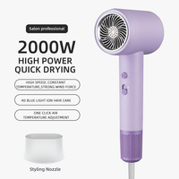 High Speed Hair Dryer Professional High Power Blow Dryer Salon Electric Dryer Styling Tools Negative Ions 2000w Quick Drying