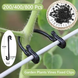 200-800 pcs Garten pflanzen Reben feste Clips gebundene Schnallen Zurr haken Kiwi Trauben gurke Tomaten stiele Befestigungs geräte Pfropfen