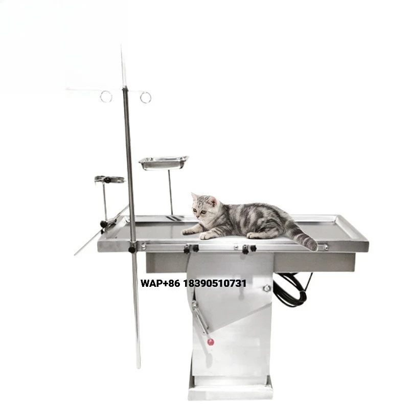 HC-R013 professional veterinary dissection table, stainless steel animal dissection table
