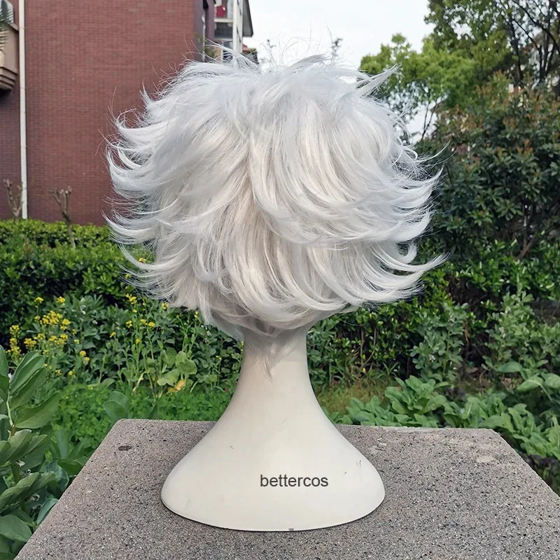 Gintama Gintoki Sakata Cosplay Wigs Short Silver White Heat Resistant Synthetic Hair + Wig Cap view 5