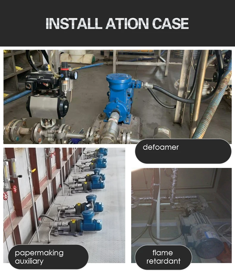 Stainless Steel High Speed Oil Transfer Gear Pump Food Grade Chemical Gear Metering Pump