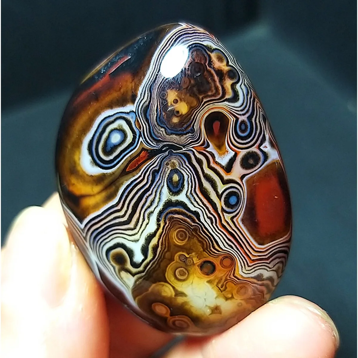 Desert Stone Banded Agate Palm Stone, Tumbled Polished, Chalcedony Beauty, Home Decor, Natural Stone, Crystal Collection