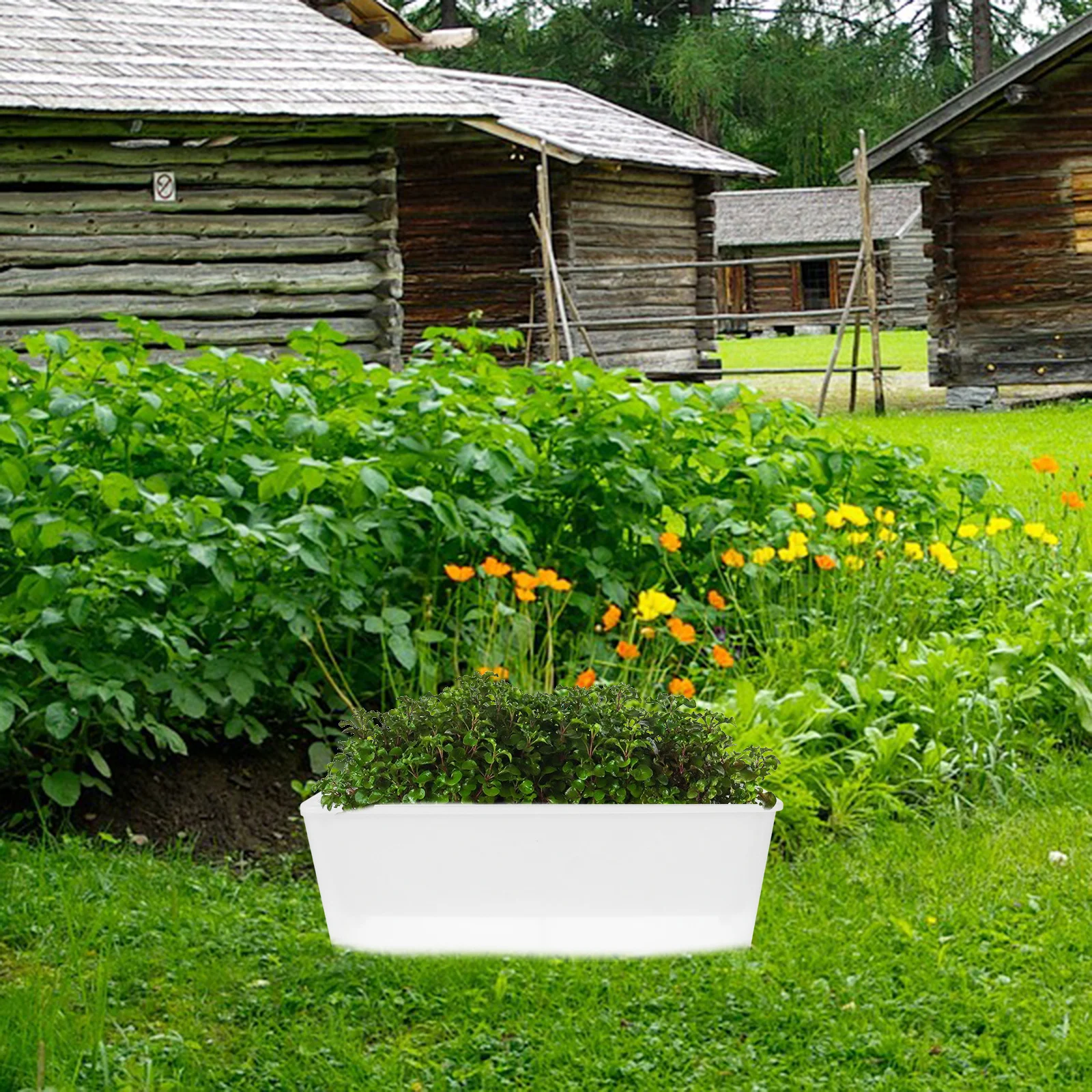 

Narrow Rectangular Planter Box Selfwatering Design for Balconies Windowsills Indoor Outdoor Herbs Vegetables Flowers Home Garden