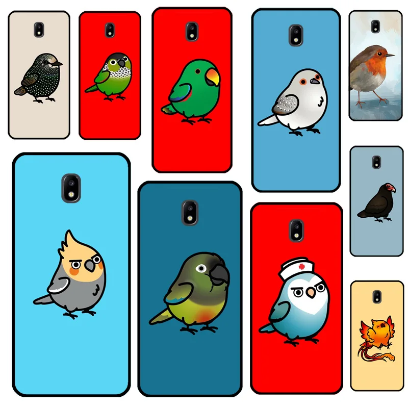 Chubby Bird For Sam…