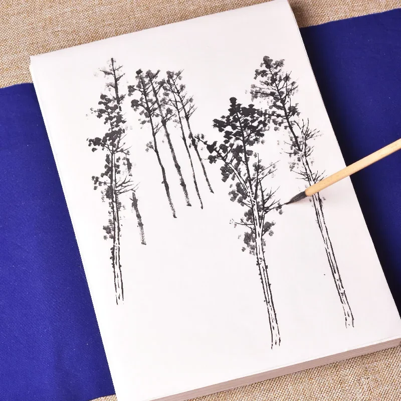 papier-xuan-mur-pour-le-dessin-au-trait-et-les-croquis-de-peinture-chinoise-pour-la-copie-et-la-pratique-materiel-artistique-pour-debutants