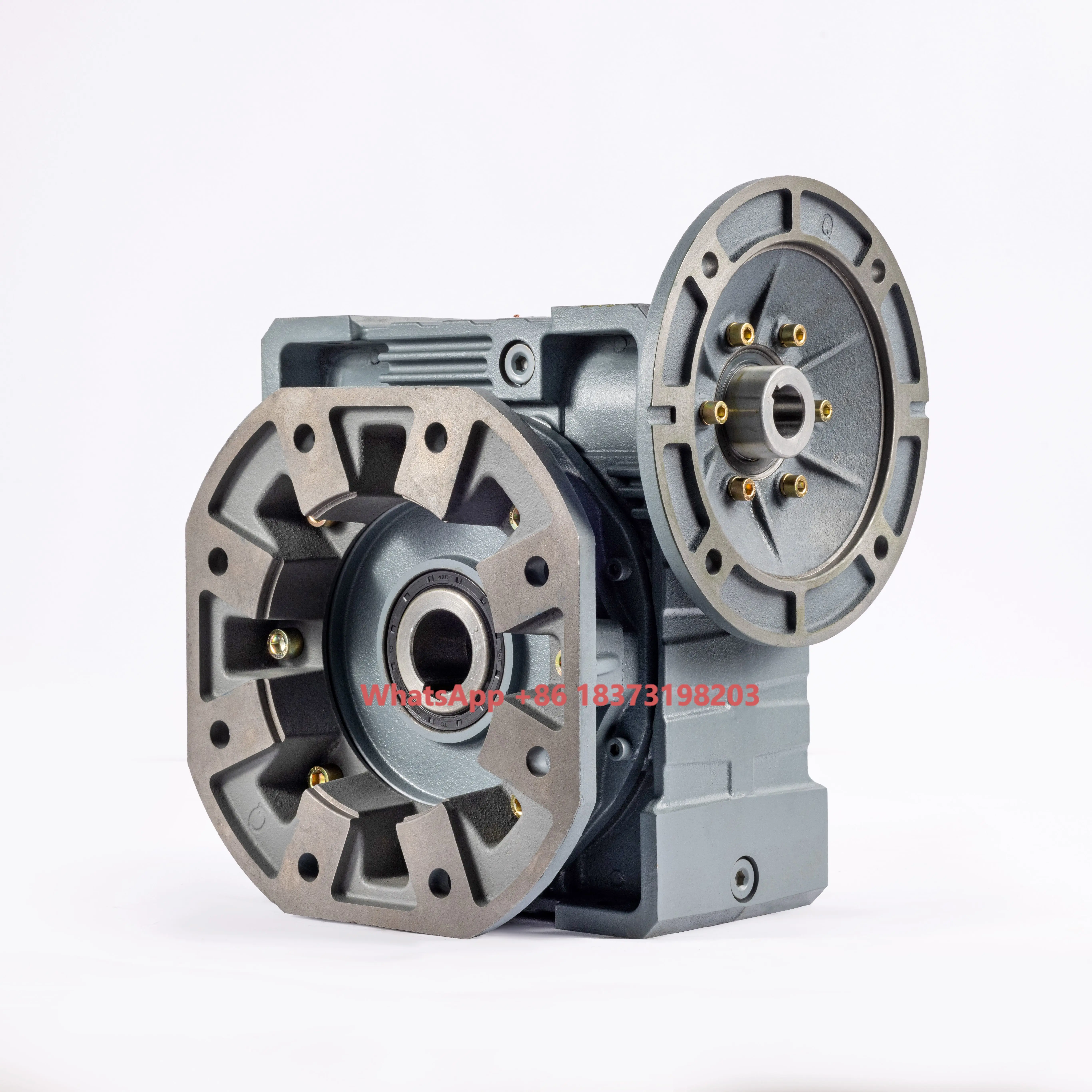 

Efficient Speed Control RV150 Worm Gearbox Reducers Shaft Mounted for RV Applications ODM Customized Support Available