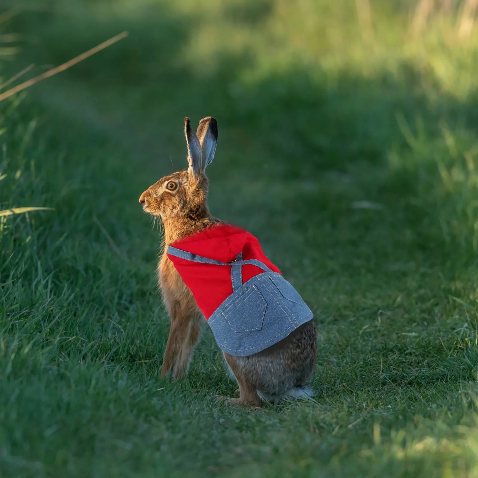 

Adorable Costume Durable Quality Long Life Beautiful Comfort Small Rabbit Leash Harness Strap Pet Clothes Accessories Rabbit